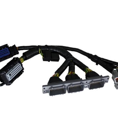 AEM Infinity-6/8h Wiring Harness Plug & Pin Kit