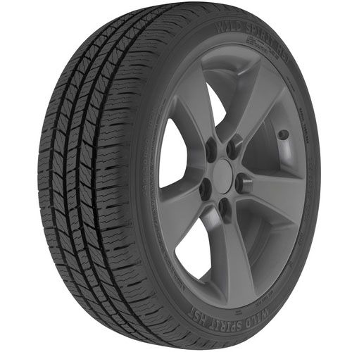 Delta Wild Spirit Sport HST 285/45R-22 110 H